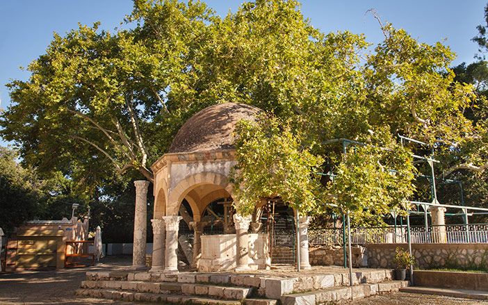 The Plane Tree of Hippocrates in Kos in Dodecanese